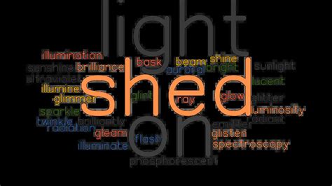 sheds light synonym|What is another word for shedding light on